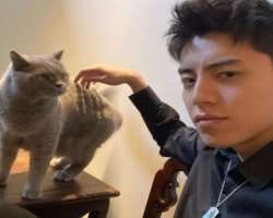 Darren is a cat lover and also has a cat in his home Darren is a cat lover and also has a cat in his home.